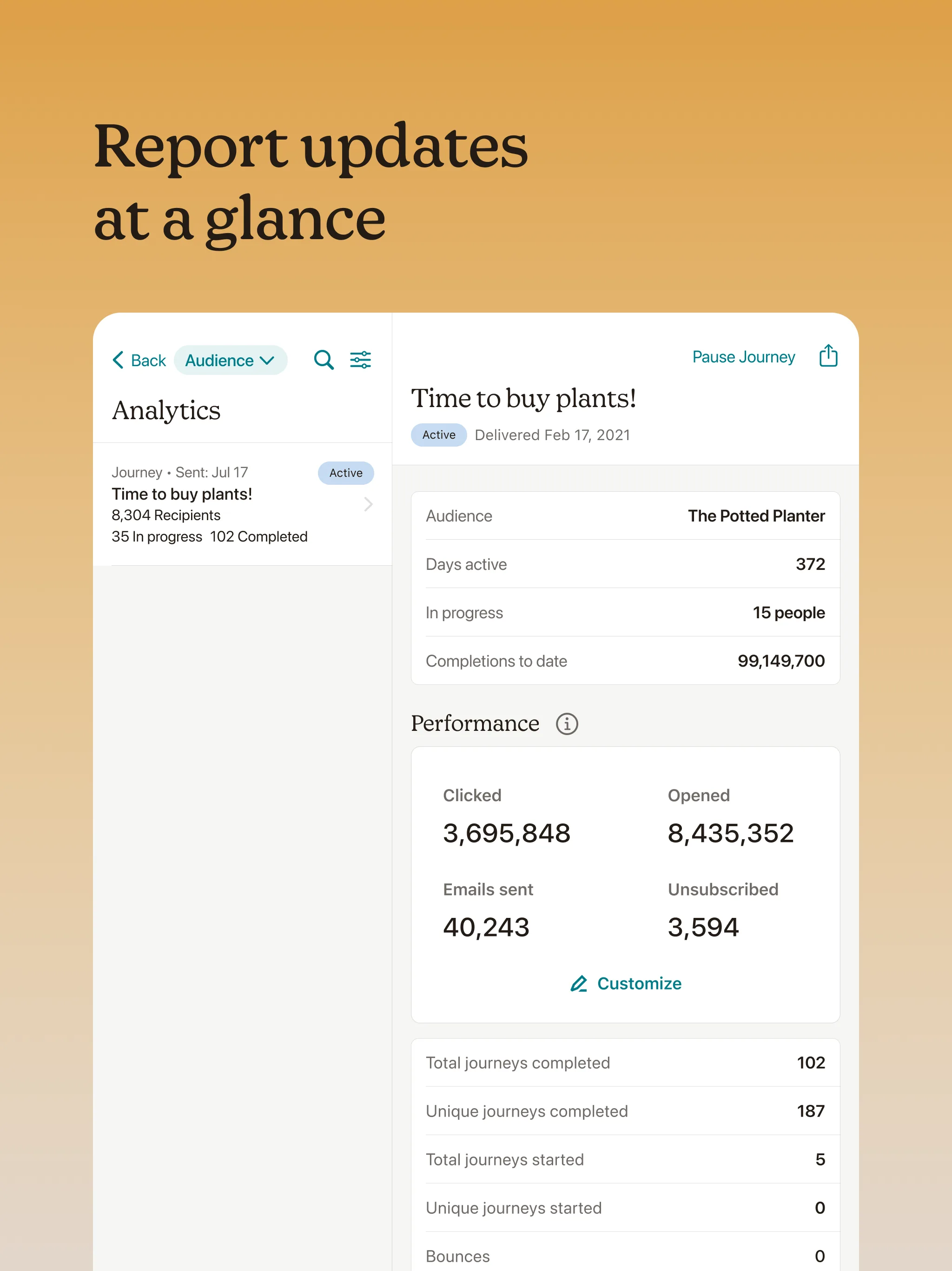 Mailchimp Audience + reports