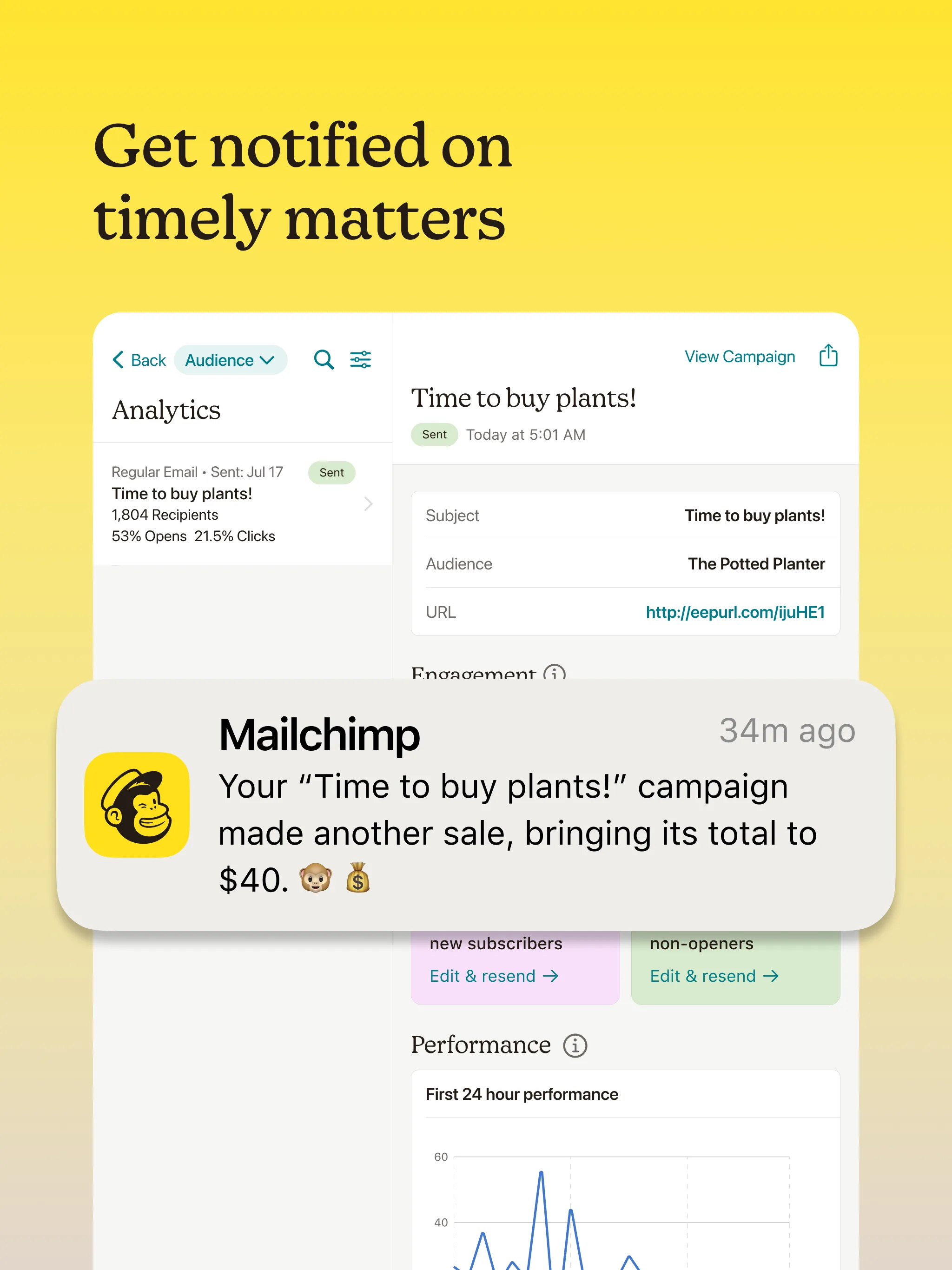 Mailchimp Dashboard